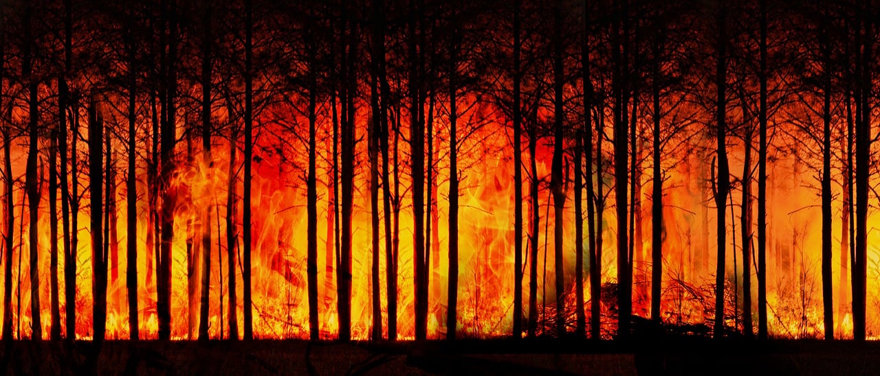Como lidar com um desastre natural